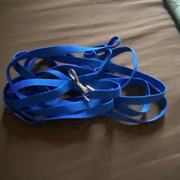 Blue Dog Leash with Black Dog Boots - Unbranded - Picture 3 of 9